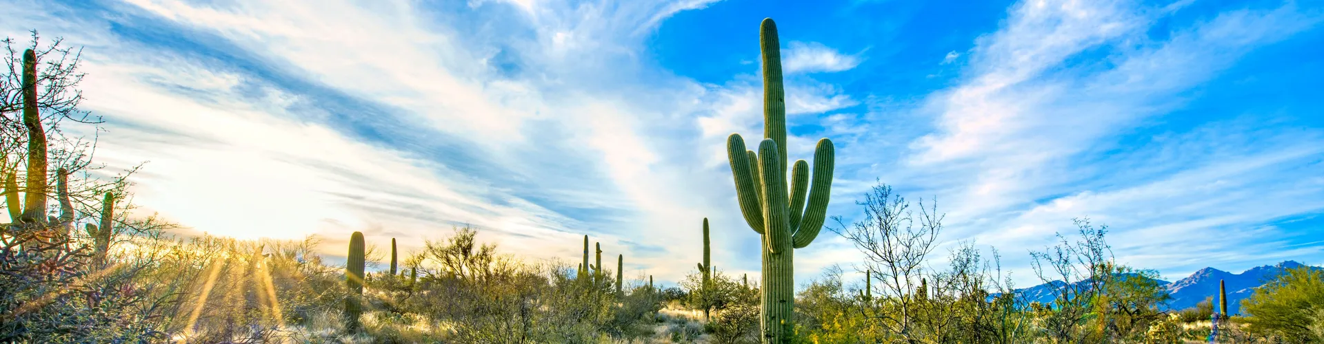 Oro Valley Dental Arts - Dental Care