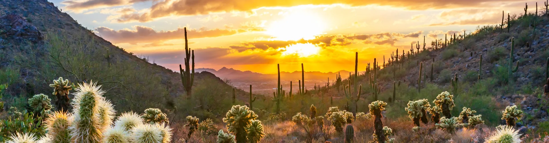 Oro Valley Dental Arts - Dental Care